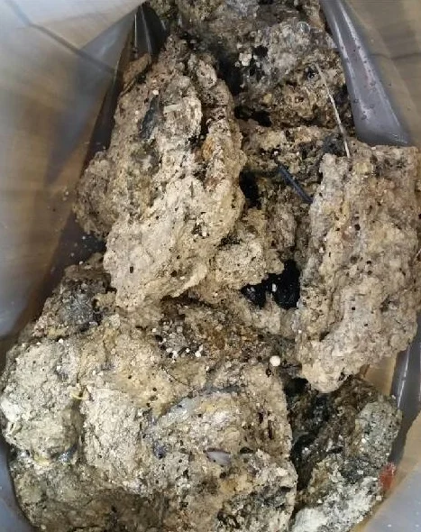 iVisit.... 'Fatberg' @ Museum of London