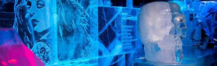 iVisit.... The ICEBAR
