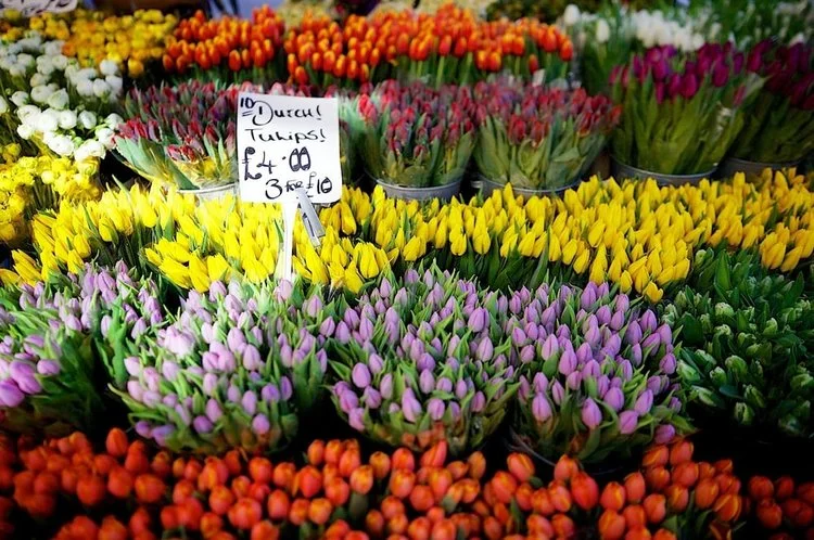 iVisit.... Columbia Road Flower Market