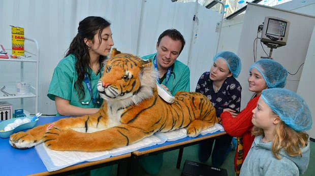 iVisit.... Vets in Action