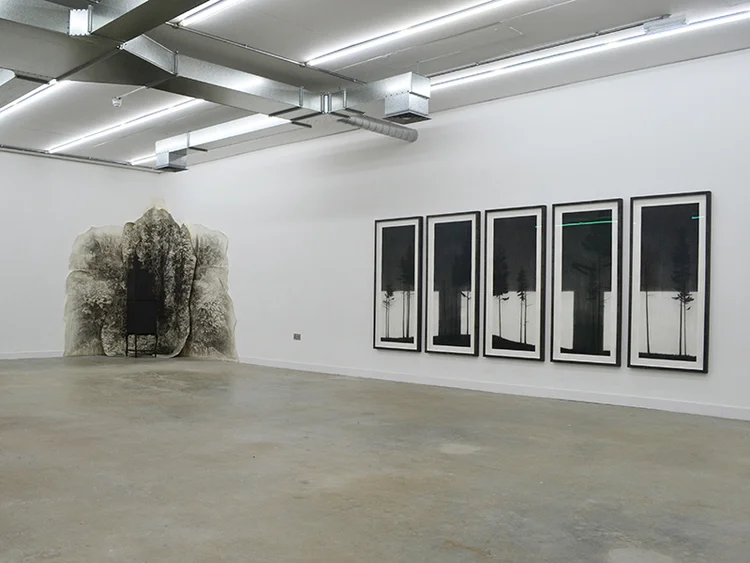 iVisit.... The Griffin Gallery