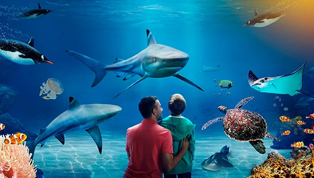 sealife-detail.jpg