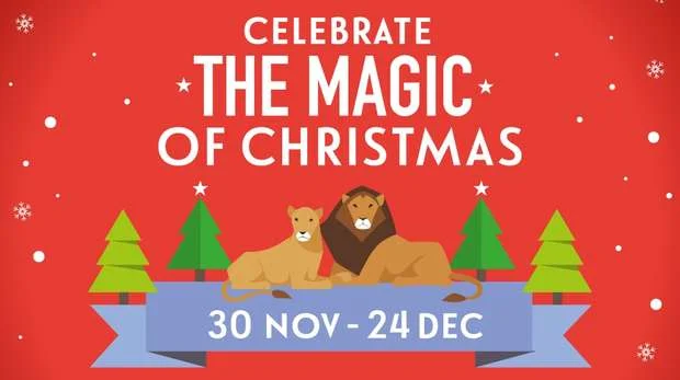 iVisit.... the Magic of Christmas at ZSL London Zoo