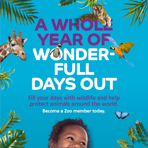 iVisit... Become a Member at ZSL London Zoo