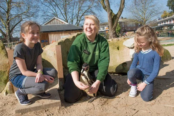iVisit... Meet the Penguins at ZSL London Zoo