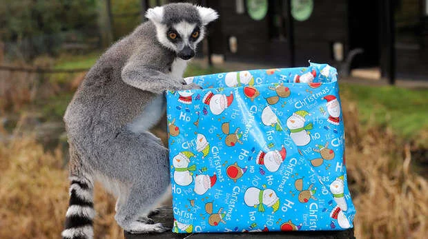iVisit... Experience the Magic of Christmas at London Zoo