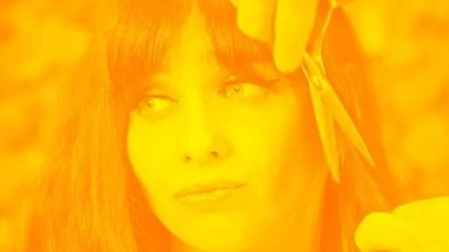 YADIRA Y EL ZOOLÓGICO PRESENTAN SU NUEVO SENCILLO “AMORES TÓXICOS”