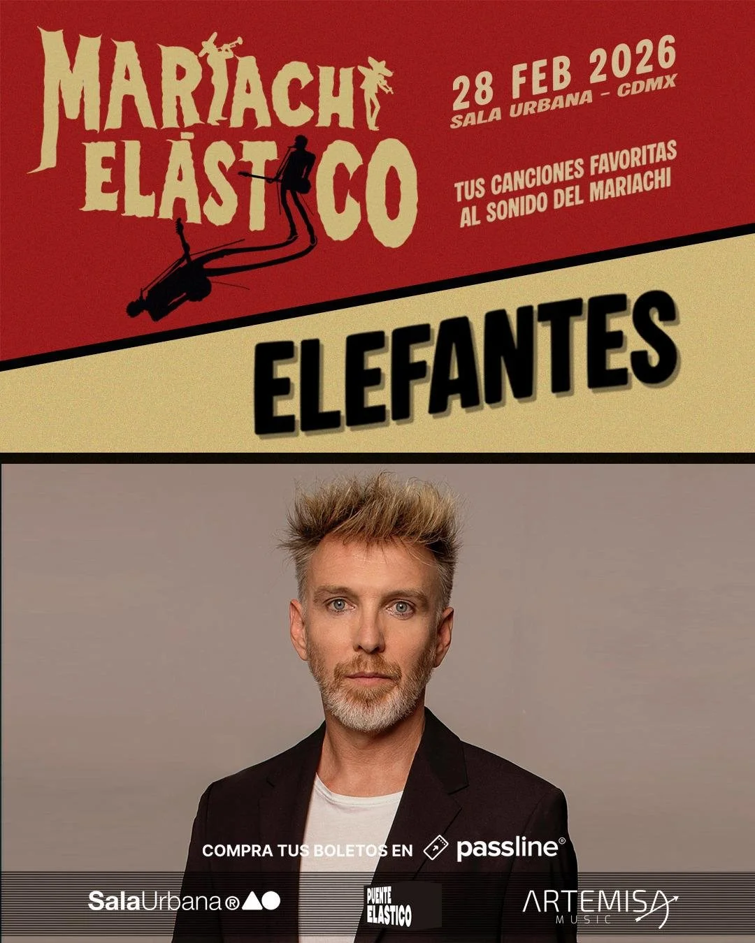 MARIACHI ELASTICO FESTIVAL ELEFANTES.jpg