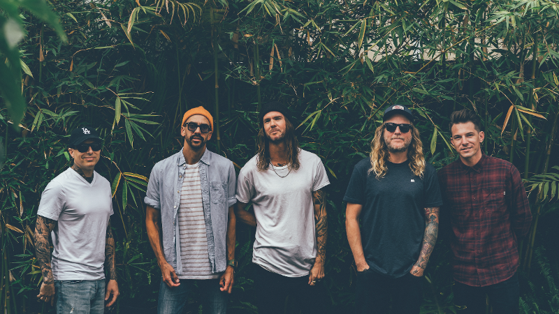 DIRTY HEADS  LANZA NUEVO SINGLE "SEVEN SEAS"