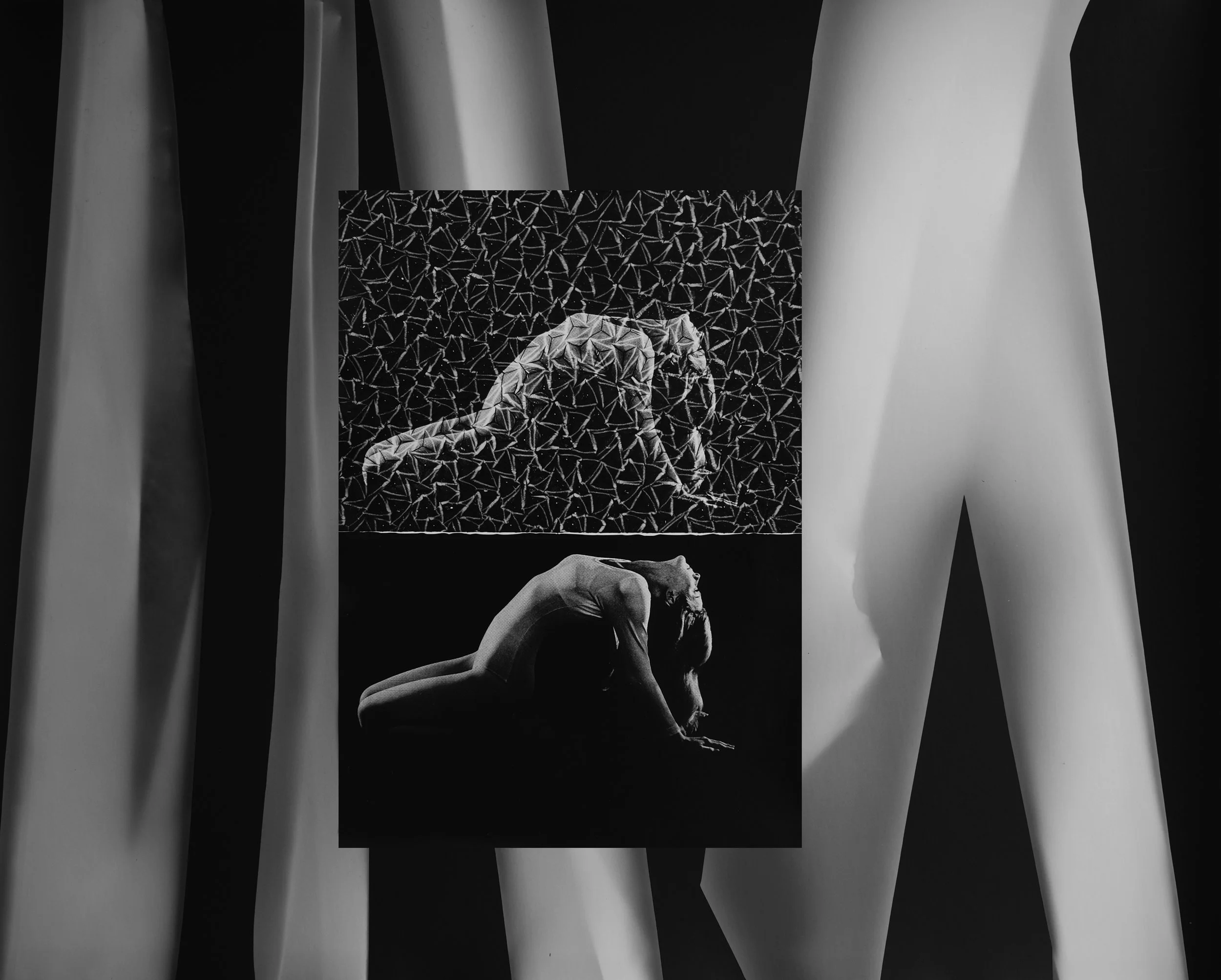 Push Pull 2022. Unique Silver Gelatin Print. 40.6 x 50.8 cm