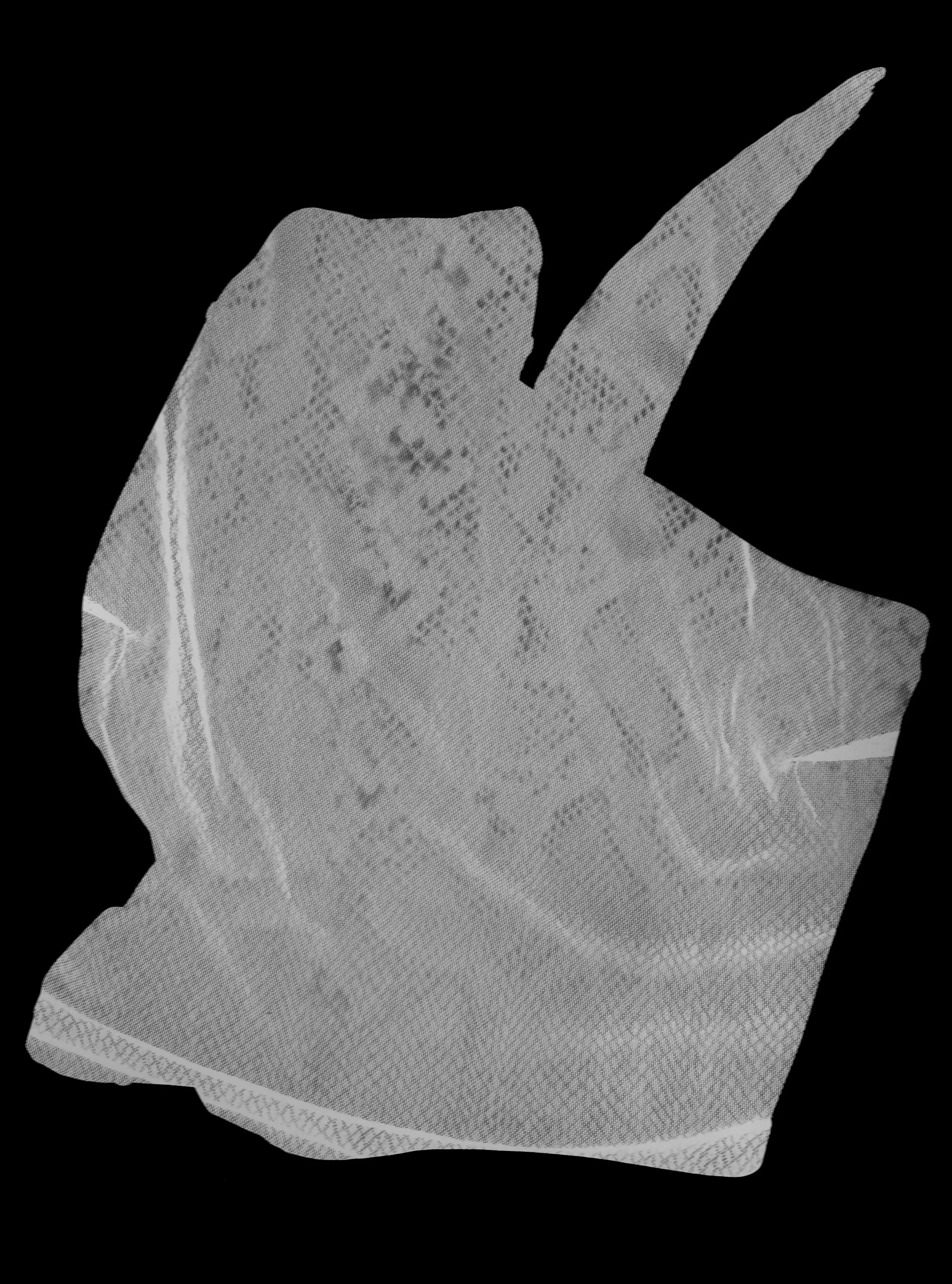 Embody Panel #12, 2022. Photogram on silver gelatin paper 