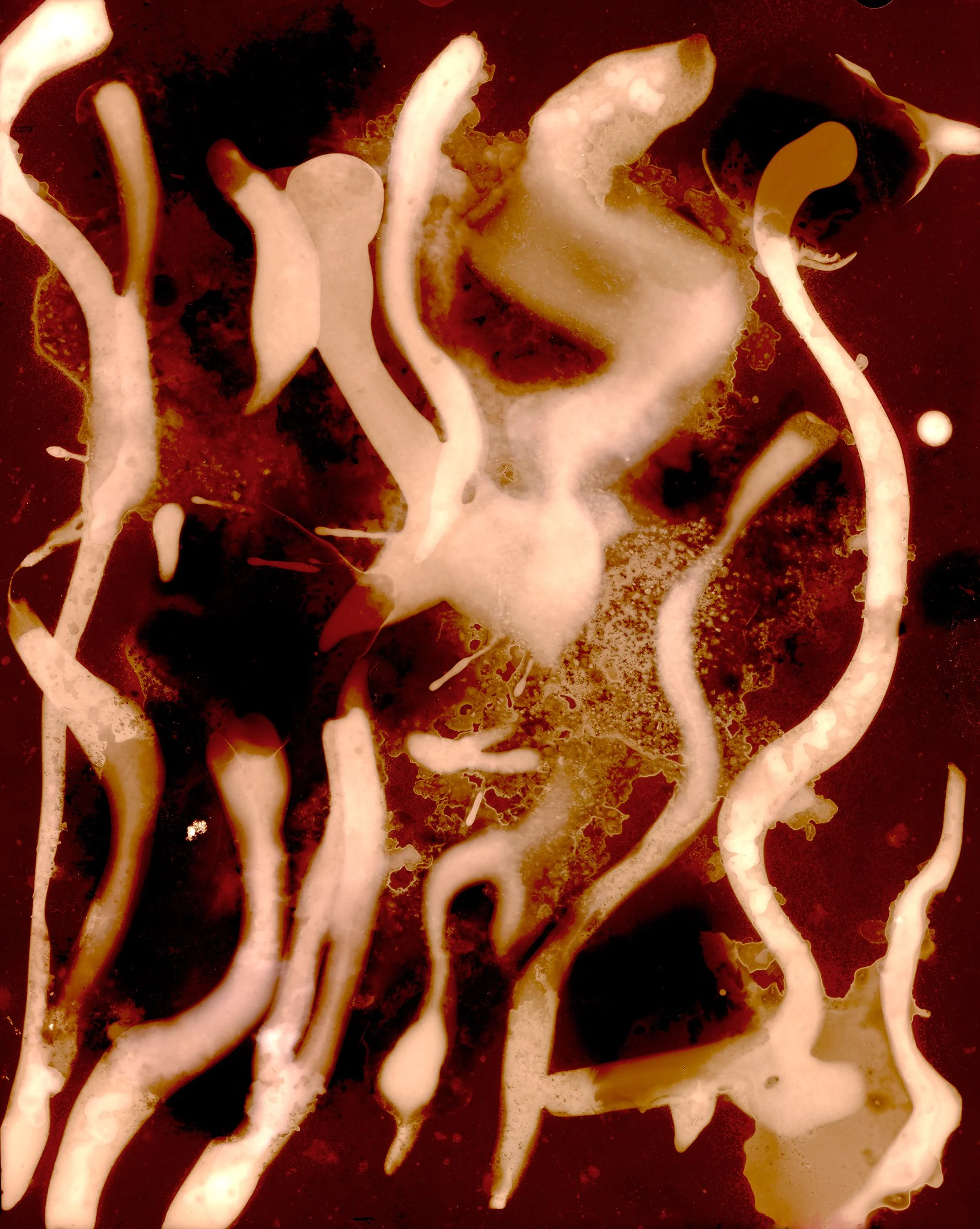 Skin & Bones_#2_SD.jpg