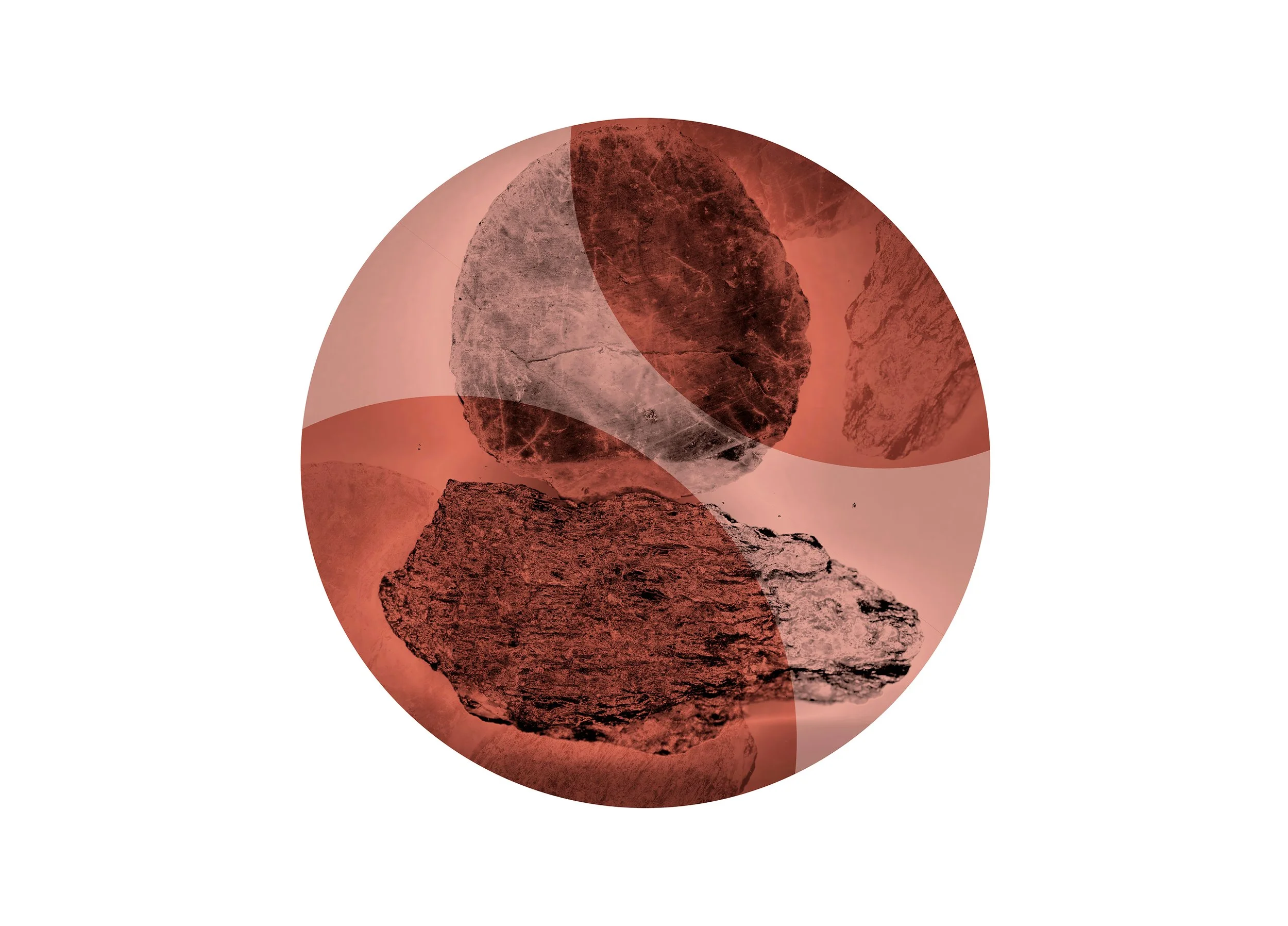 Body Fossil, Simone Darcy 2025