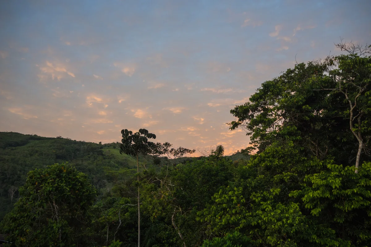 PA080044.jpg