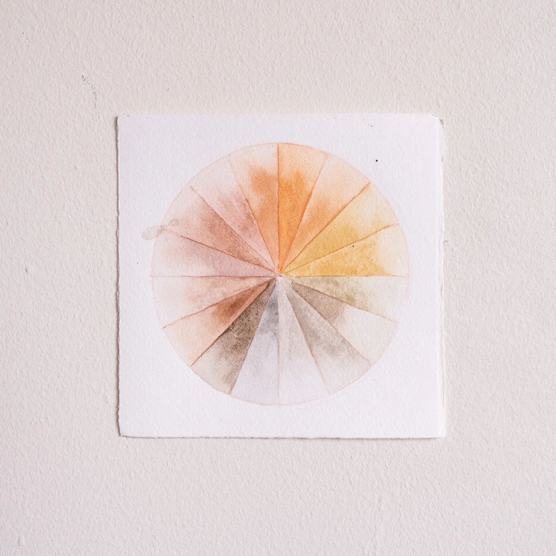 Anakiwi Color Wheel III