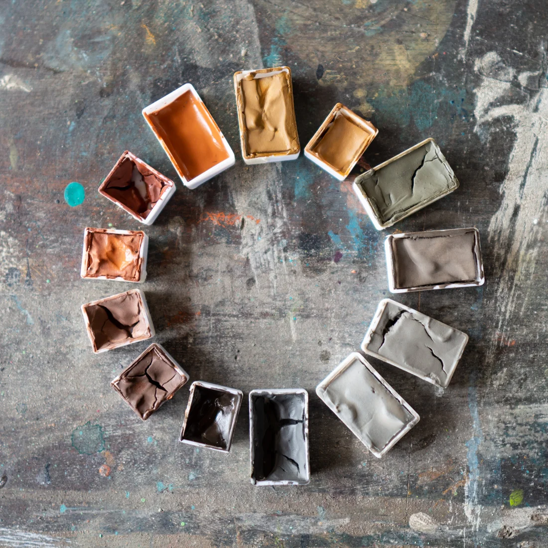 Anakiwi Color Palette