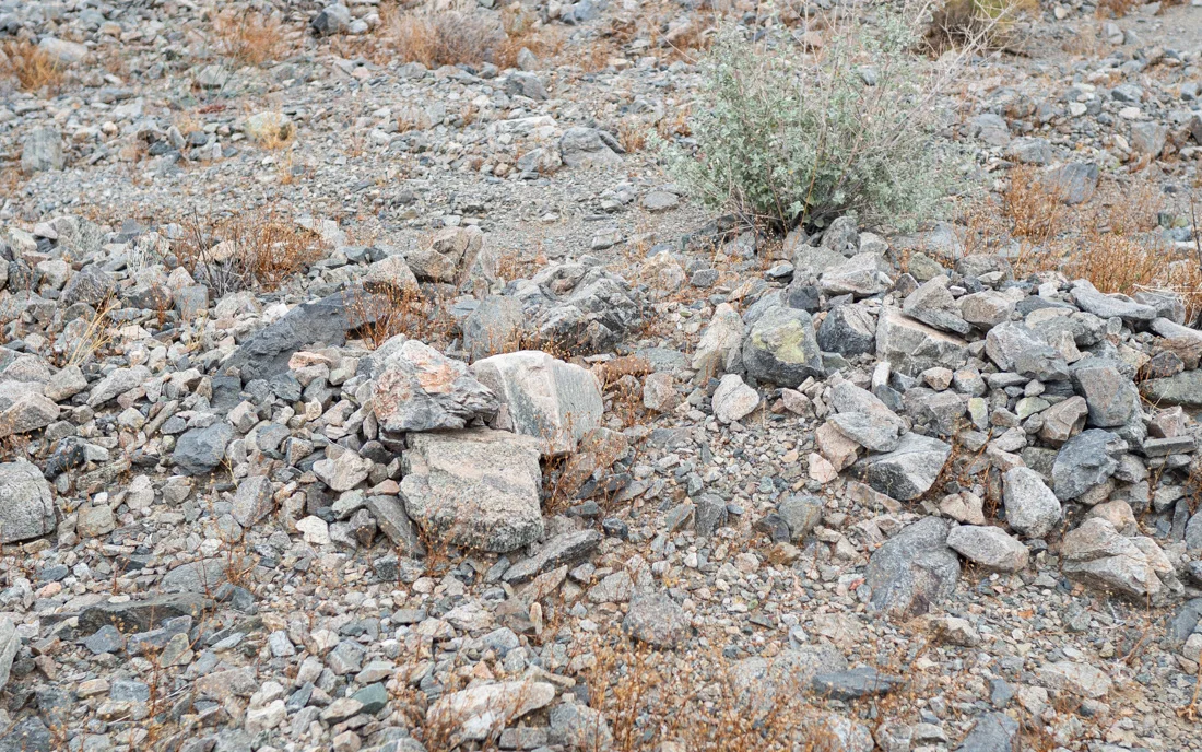 cleghorn-rock-field.jpg