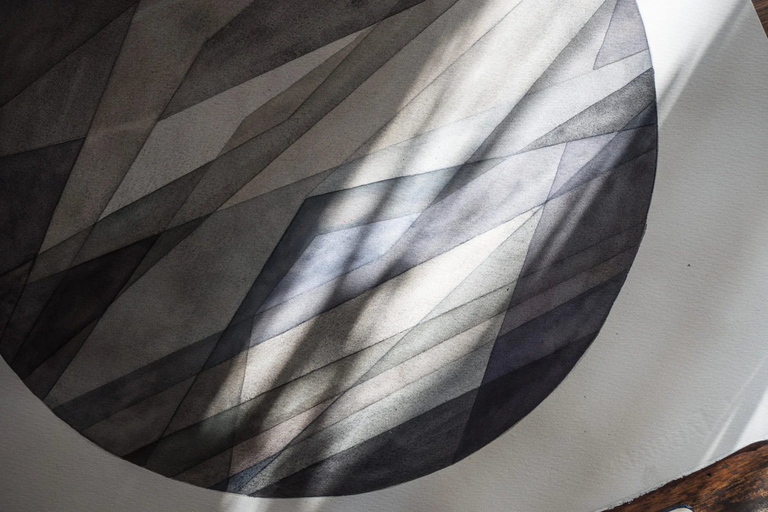 palm-shadows-sunlight.jpg