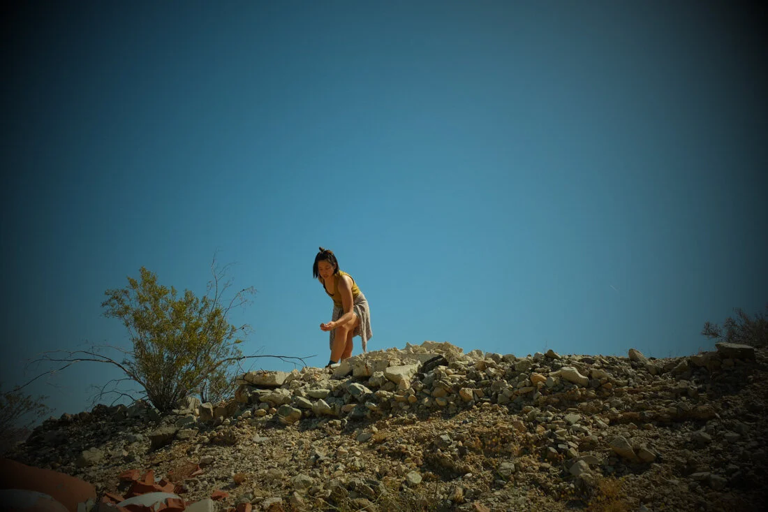 Foraging in the desert