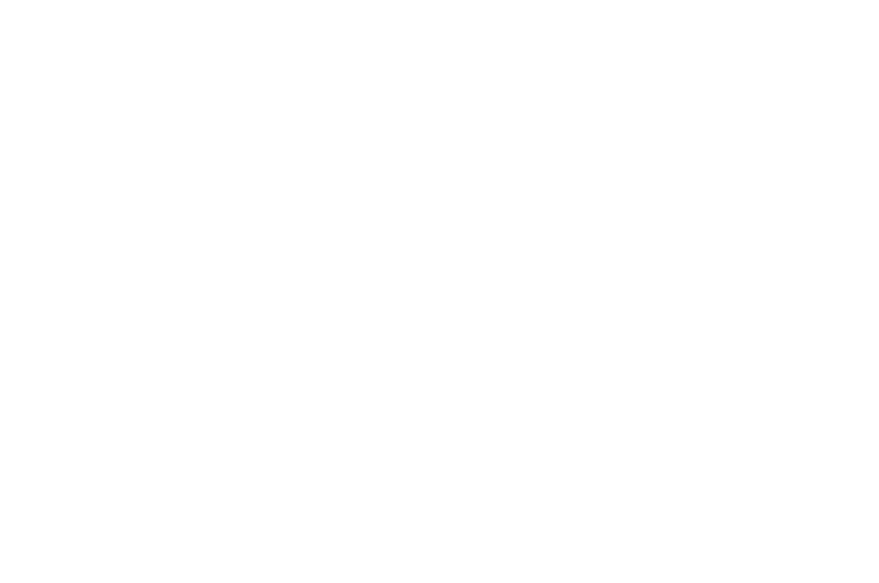 2017  - Nevada City Film Festival - OFFICIAL SELECTION.png