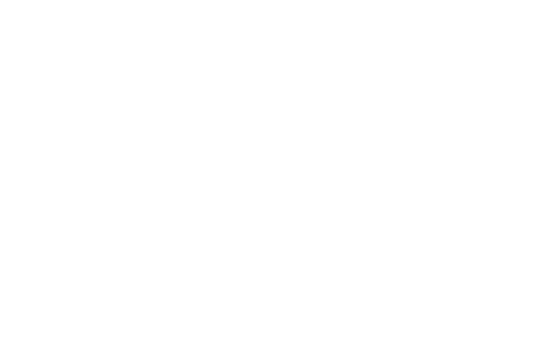 OFFICIAL SELECTION - SAN FRANCISCO DOCFEST - 2017_white.png