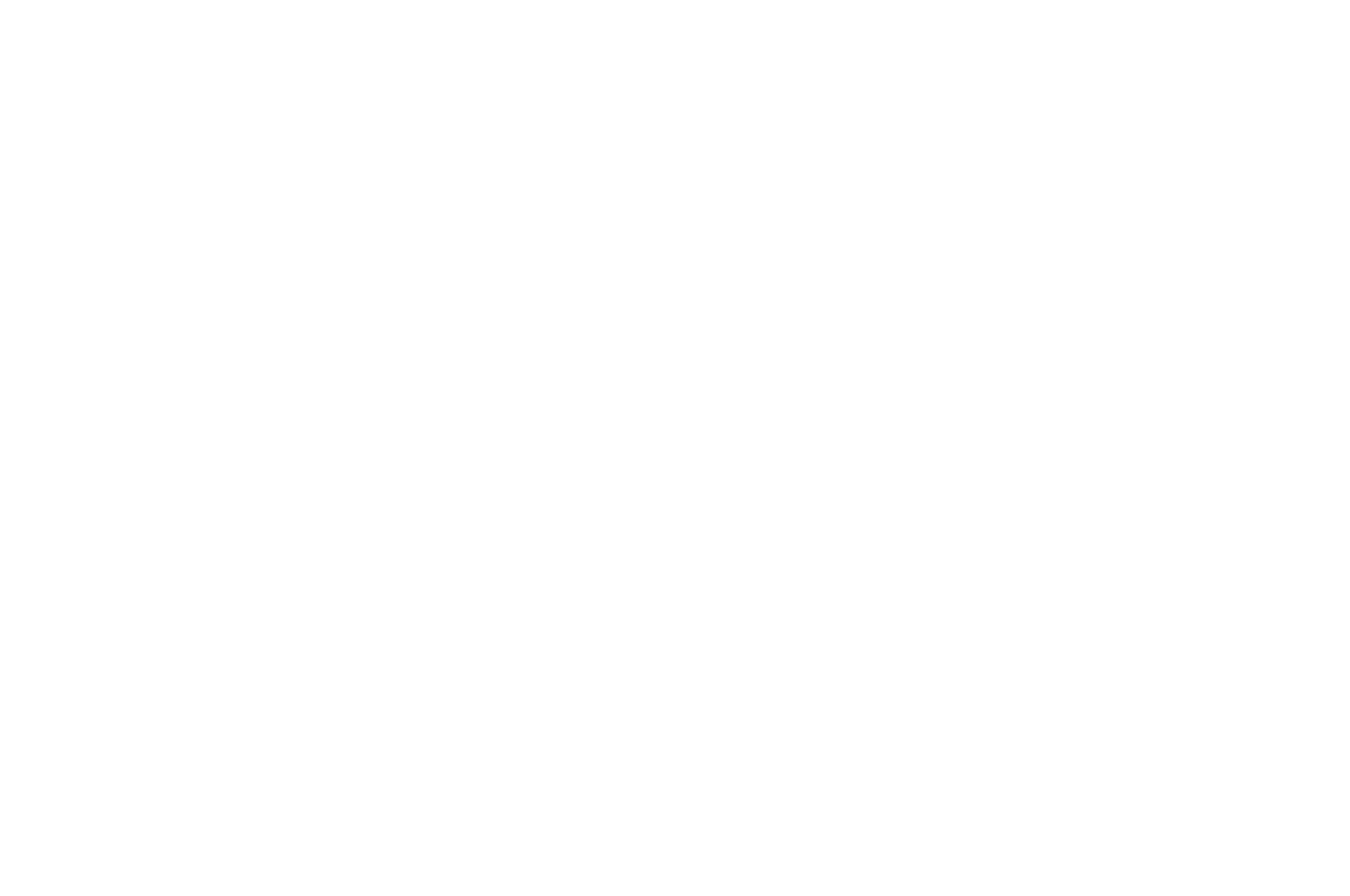 OFFICIAL SELECTION - UNAFF - 2017_white.png