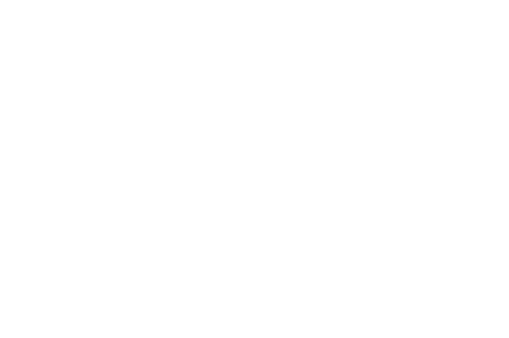 OFFICIAL SELECTION - Nashville Film Festival - 2017-2.png