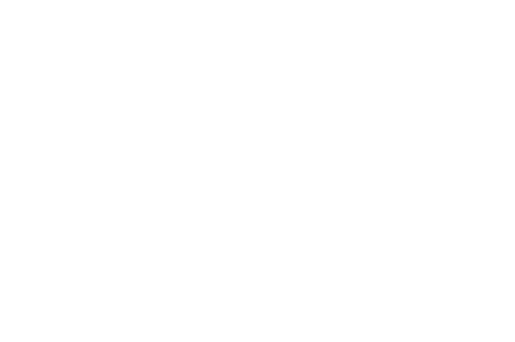 WINNER - Audience Choice Award - GI Film Festival San Diego - 2017_white.png