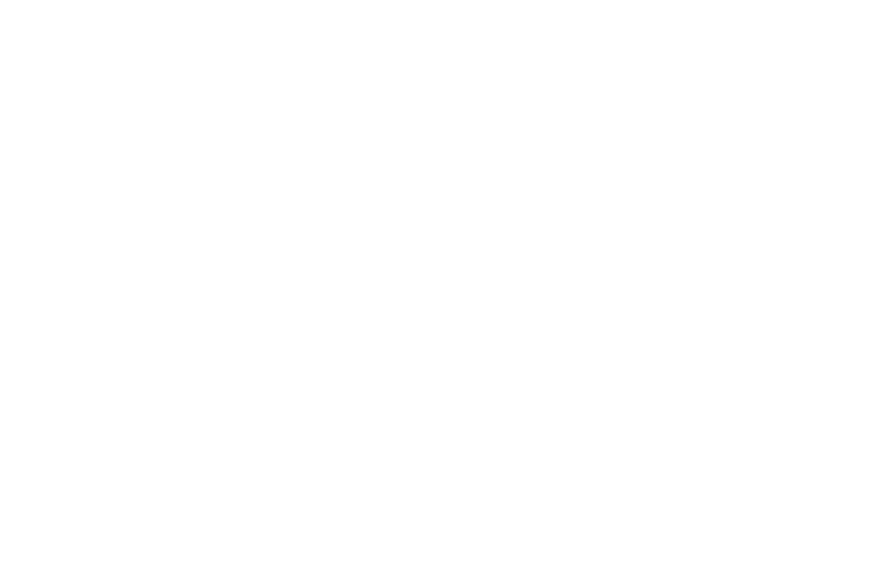 winner_SD Latino FF_white.png