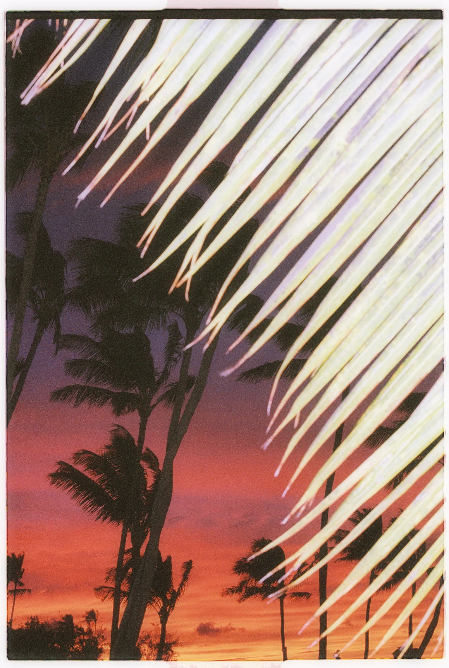 2022.12.19 TF-63.jpg