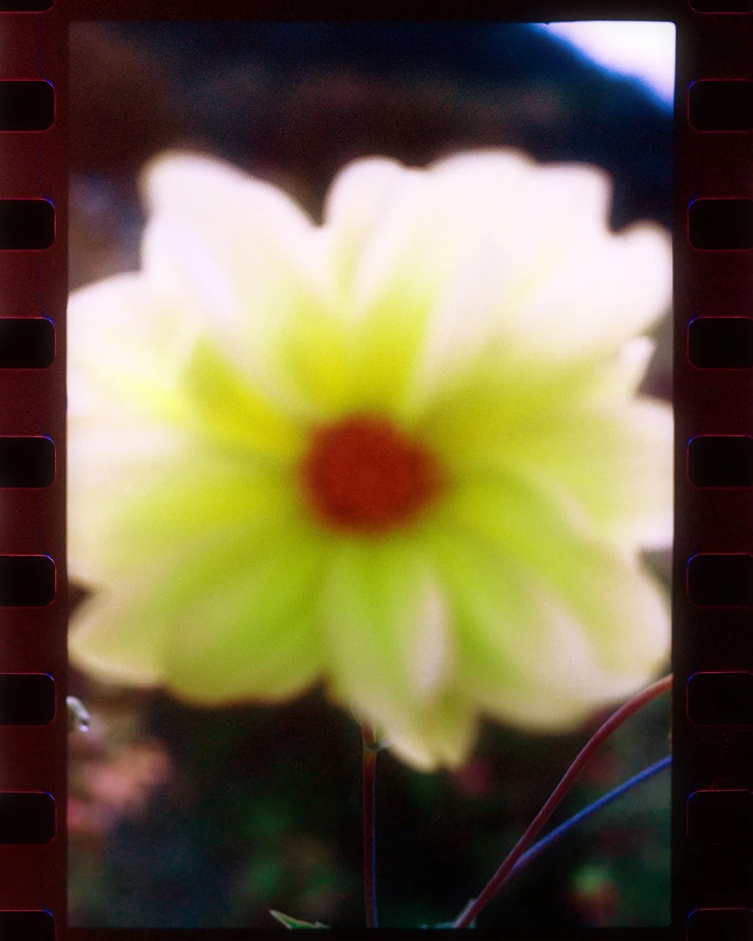 Untitled-1_1_1.jpg