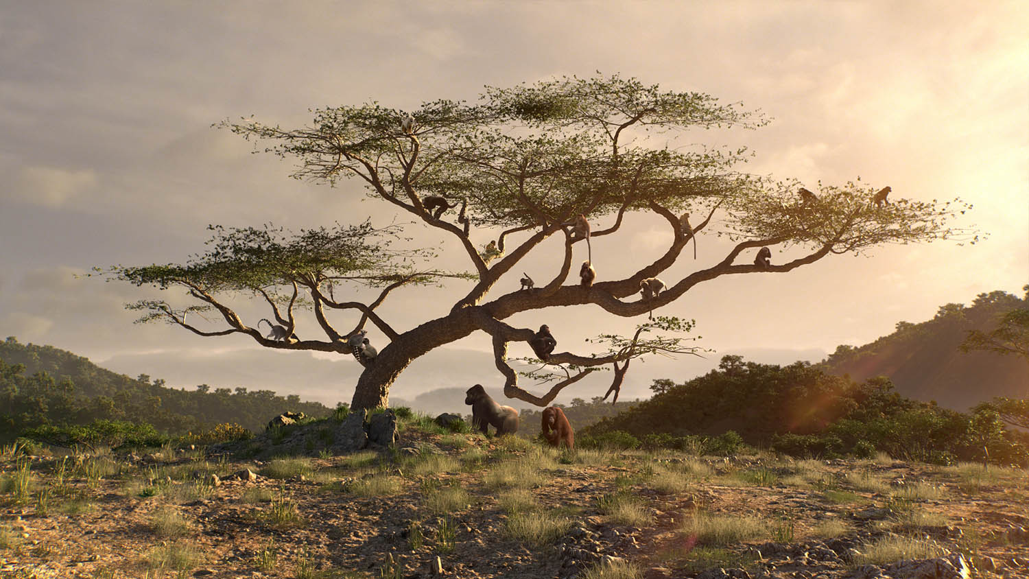 Monkeys_Image_2.jpg