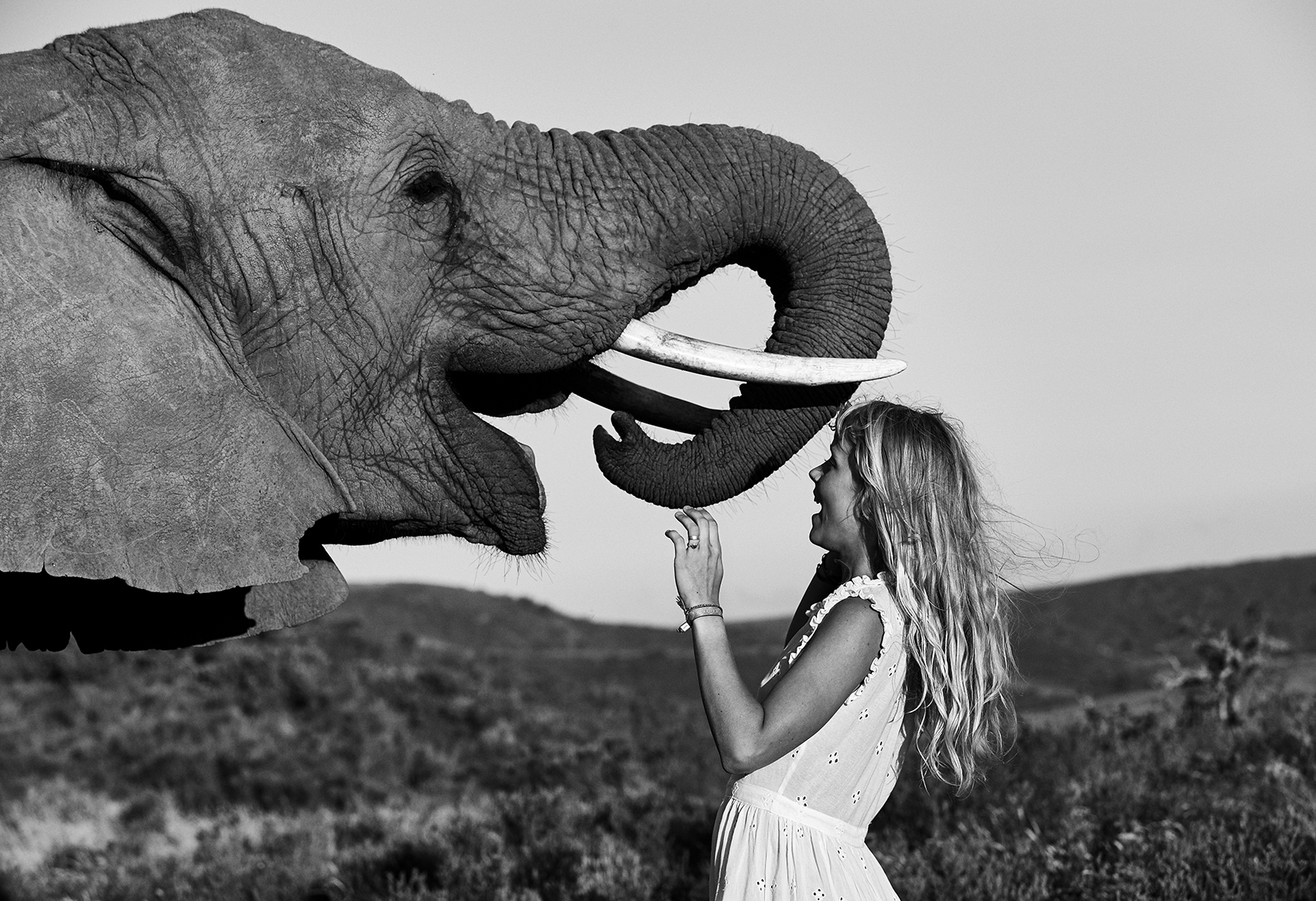 Alice Phoebe Lou Elephants Portrait 