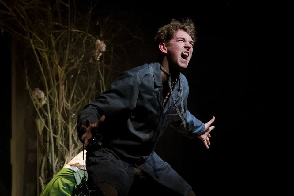 Simon Grey, CTC Youth Member Performing in The Wind in the Willows, December 2017.jpg
