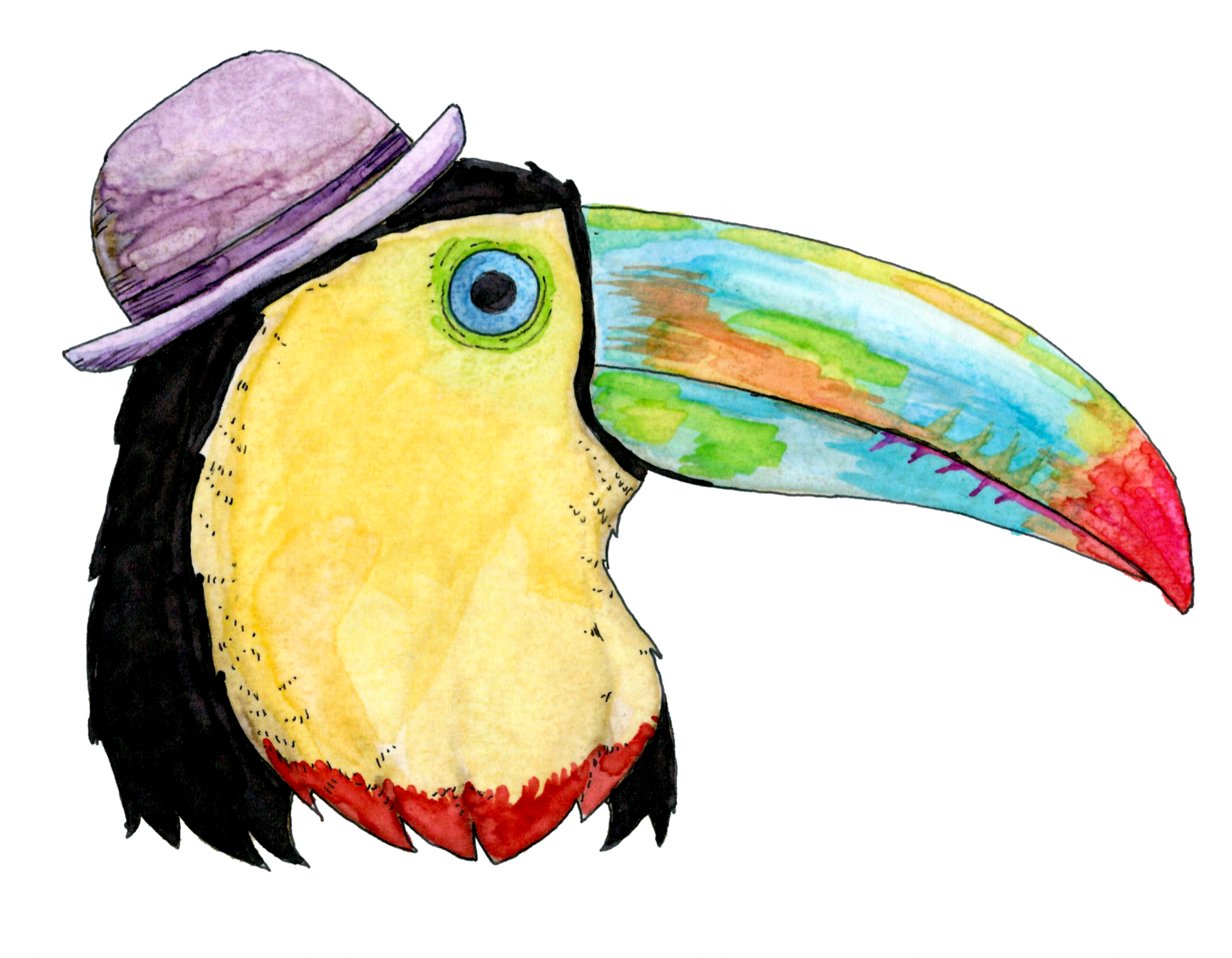 Toucan8-11.png