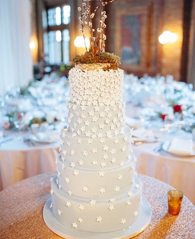 Elysia Root Cakes