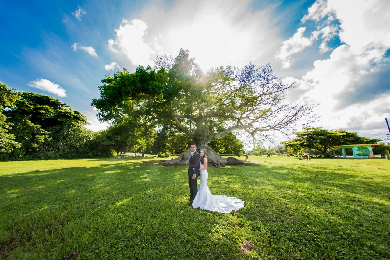 Wedding Spotlight | Catherine &amp; Win