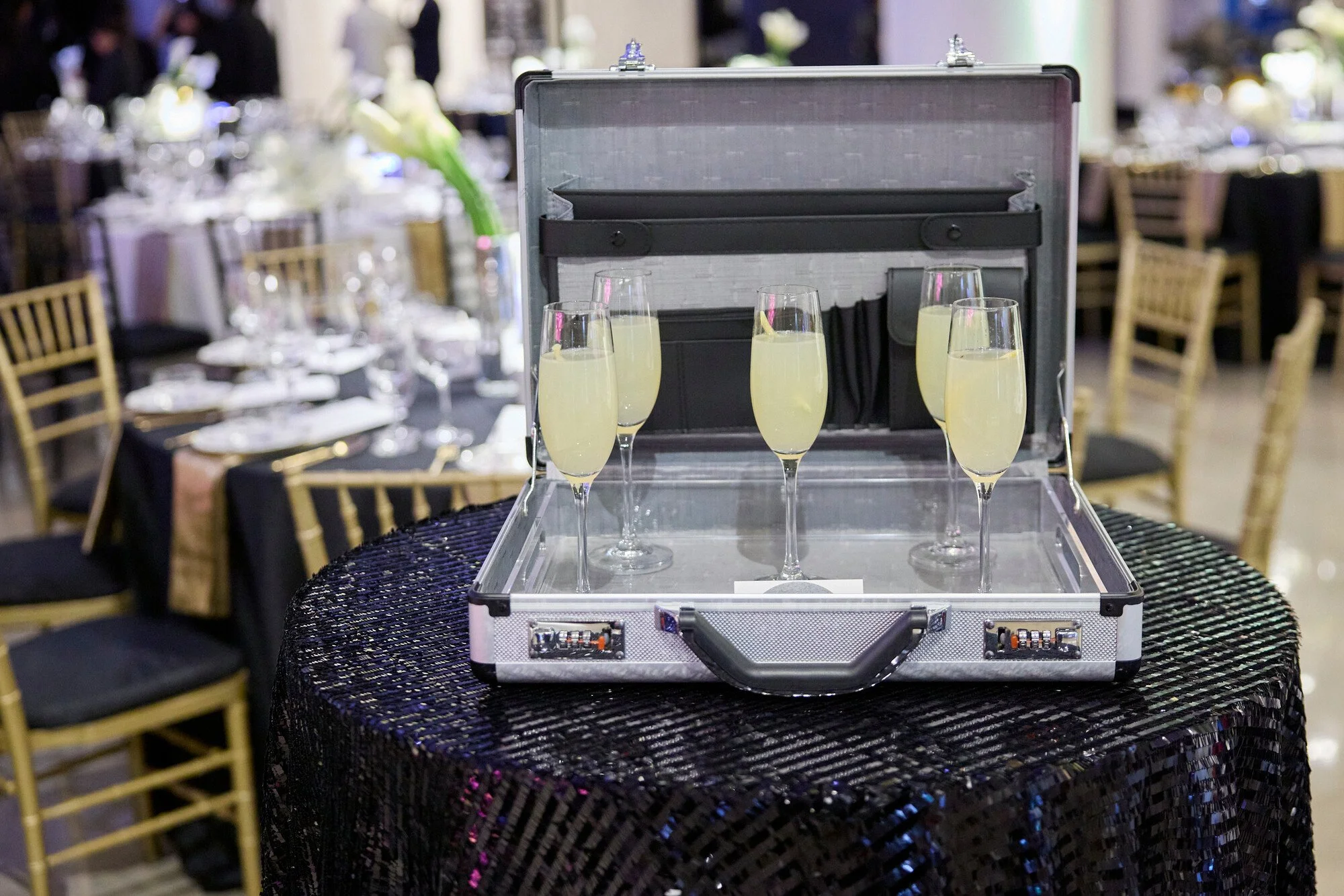 RS29758_112937_MSI_Columbian_Ball_2024_JSchear_lpr.jpg