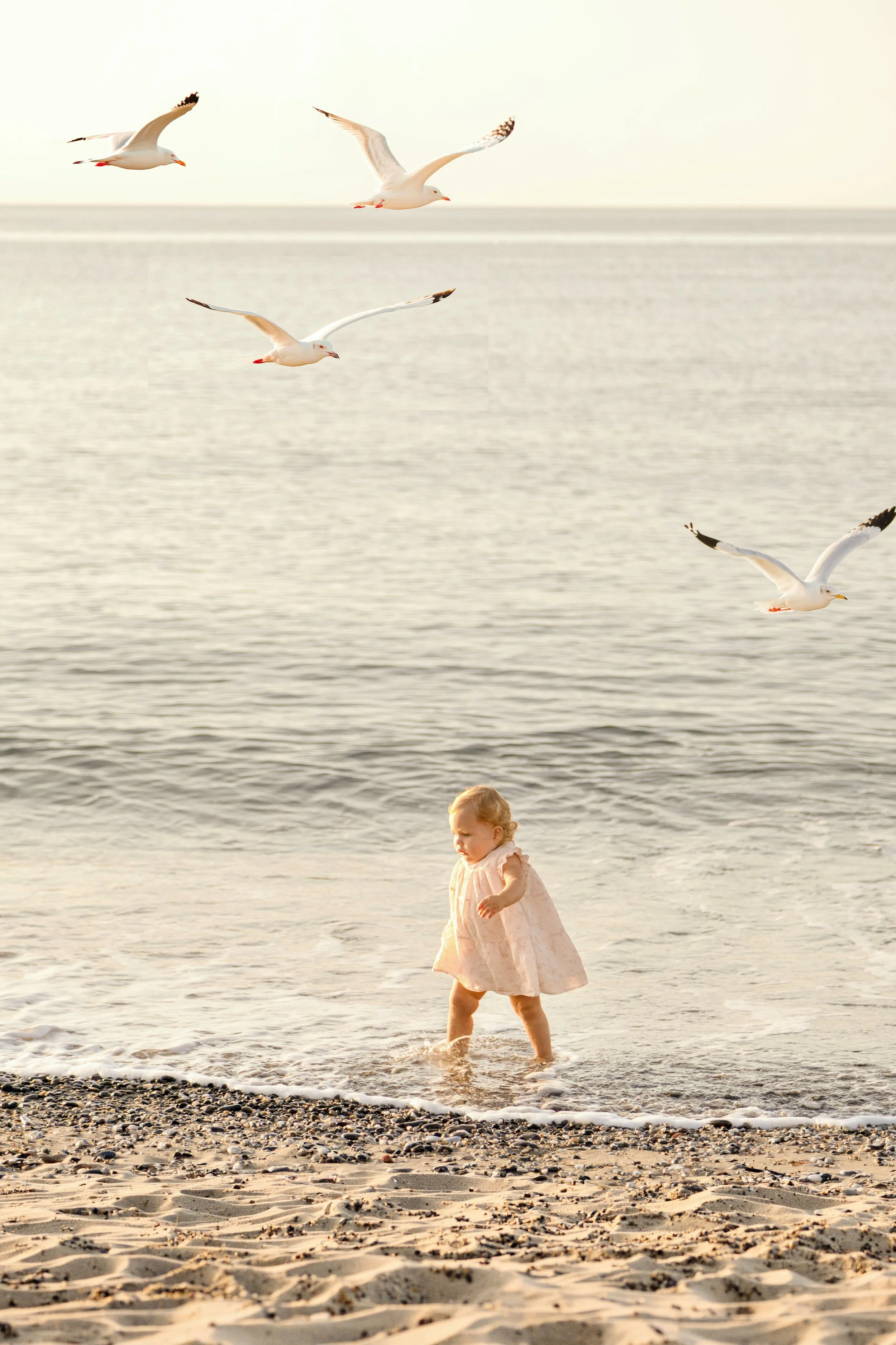 A young girl in a pink dress walking along the beach with seagulls flying overhead, and the ocean in the background during sunset.