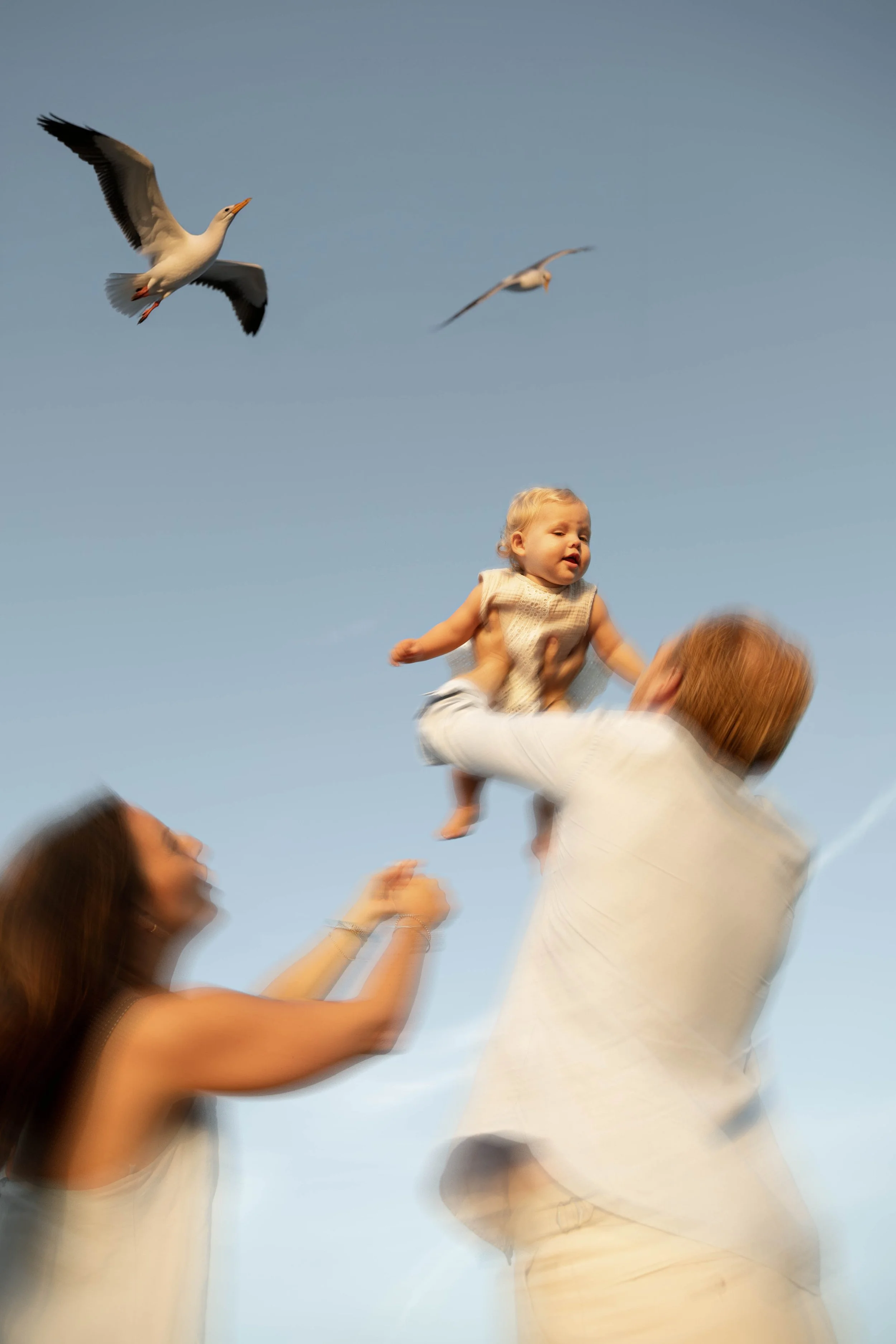 A child being lifted into the air by an adult, with another person reaching up, and two seagulls flying in a clear blue sky.