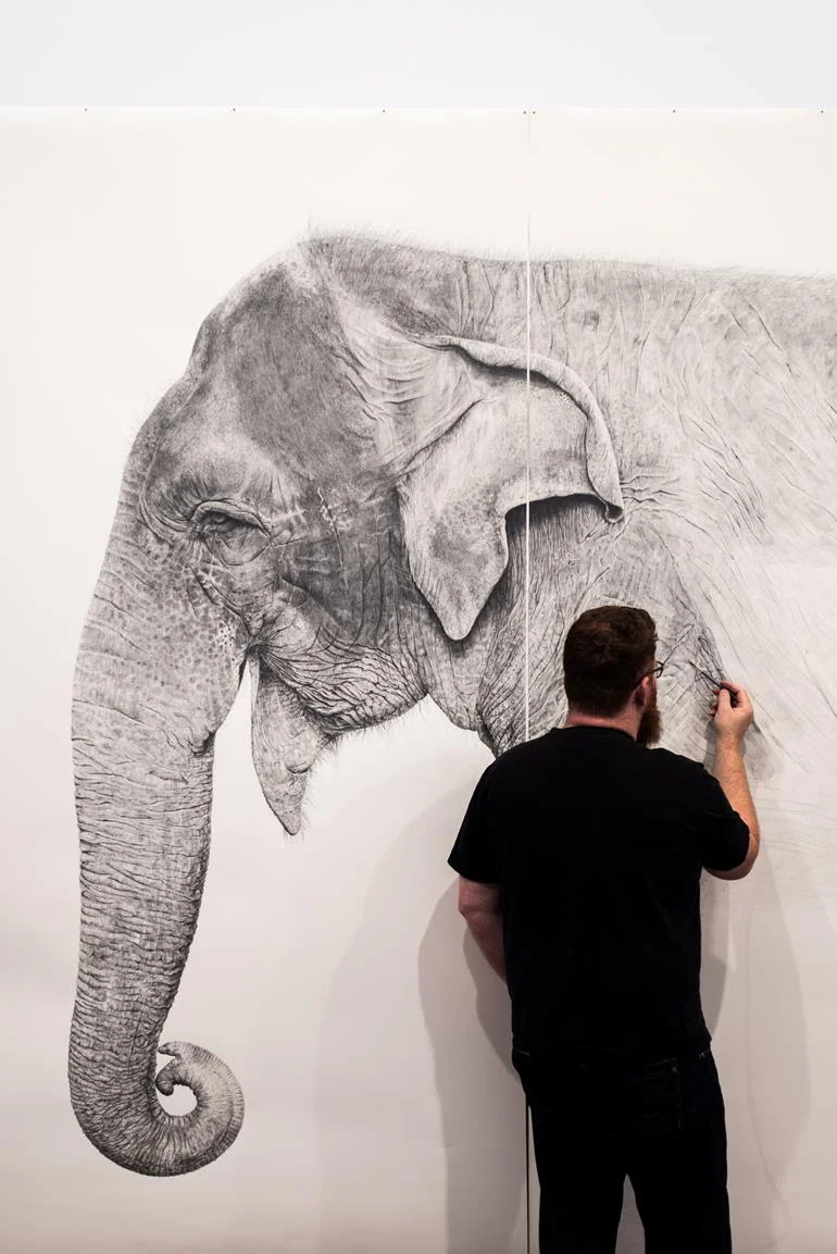 Award-winning Fremantle illustrator Ross Potter works on his life-sized sketch of Perth Zoo’s Asian elephant Tricia as part of the Fremantle Arts Centre exhibition Animaze – Amazing Animals for Kids in 2018. Supplied by Ross Potter