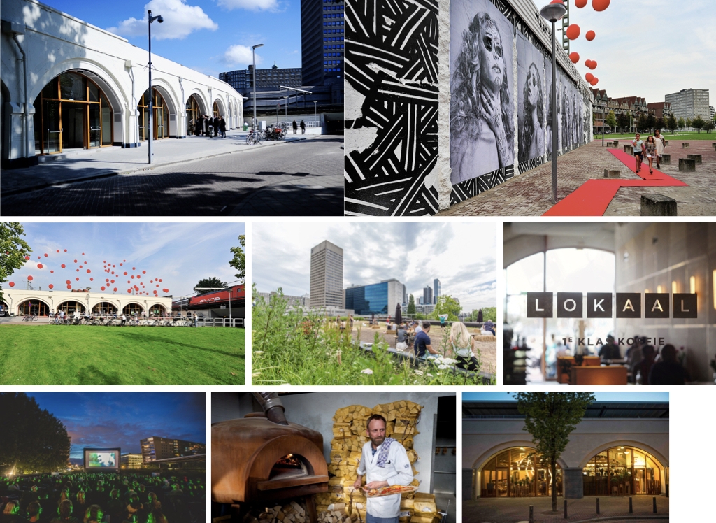 Springtide Studios | Website moodboards .002.jpeg