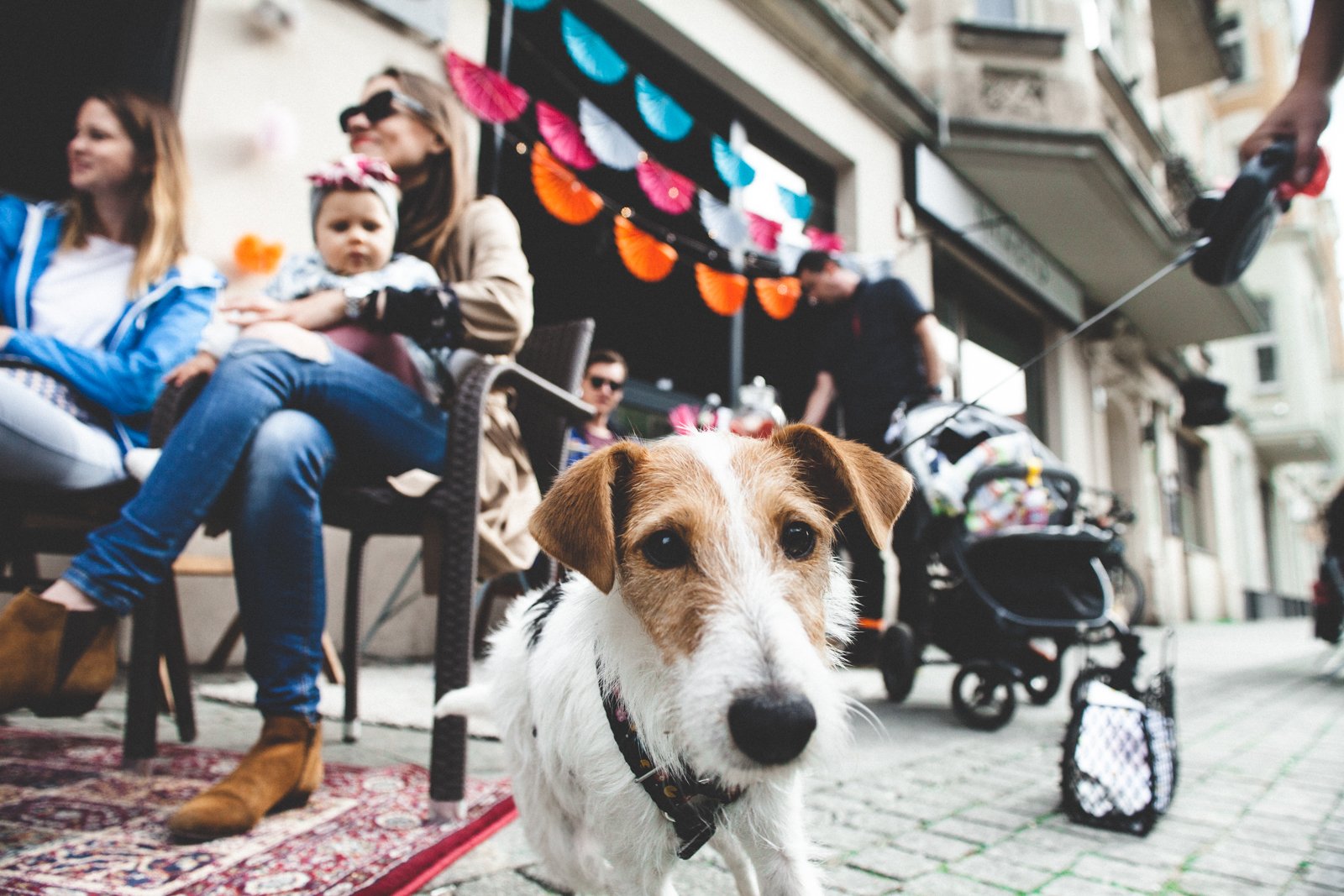 ©YUM food&design for BenchesCollective - Poland - sidewalk dog.jpg