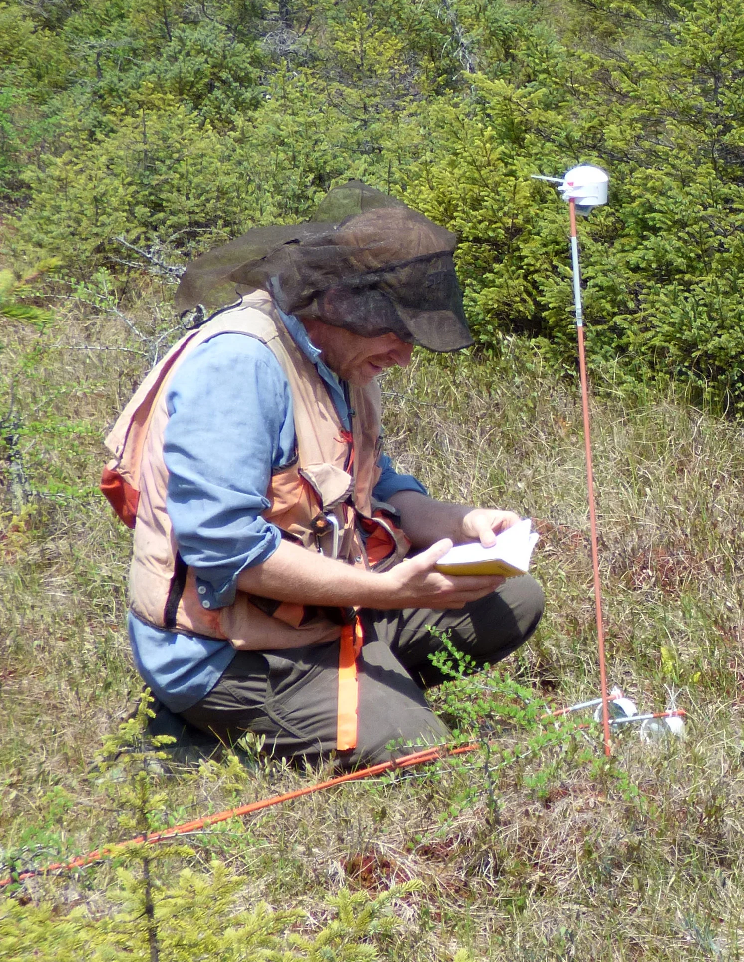 ssprs-langdon-little-bog.jpg