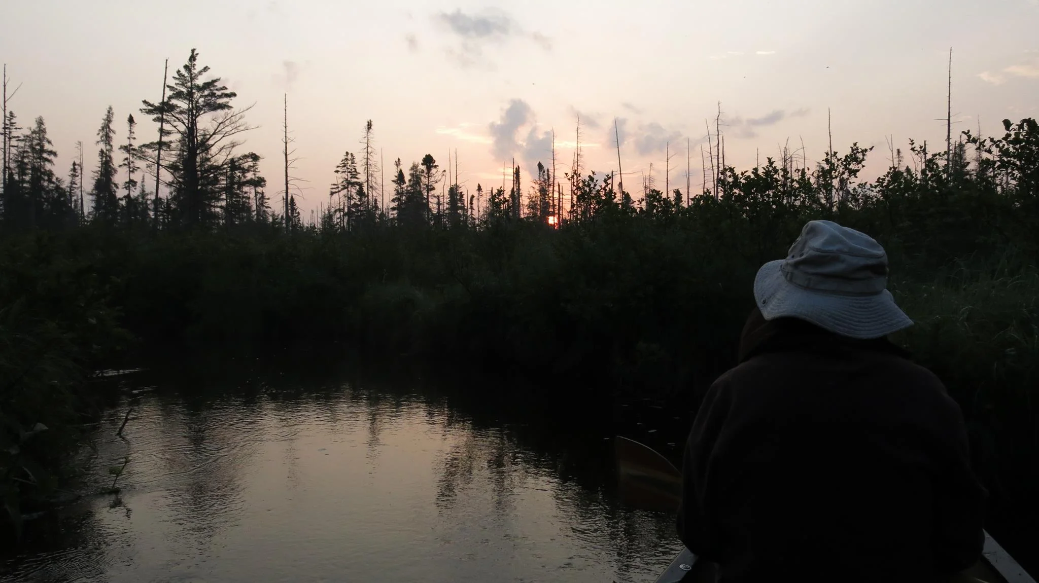 Sunrise in the boreal peatlands during the 2013 bird surveys.