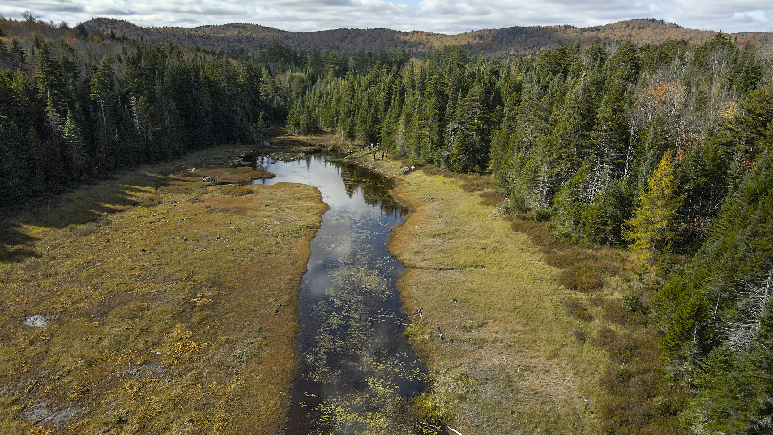  The release site at Shingle Shanty Preserve and Research Station in the west-central Adirondacks. Photo courtesy of The Wild Center. 