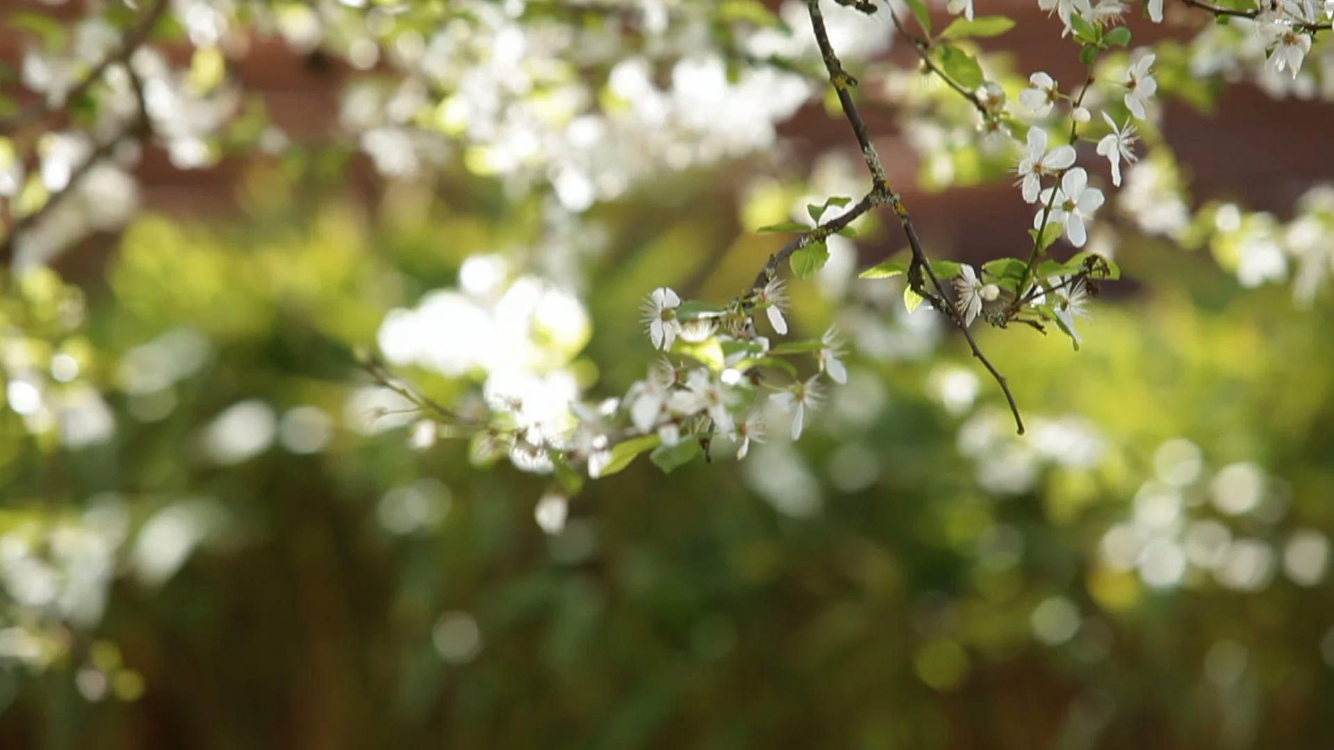 Camera B Take 3 Spring.jpeg