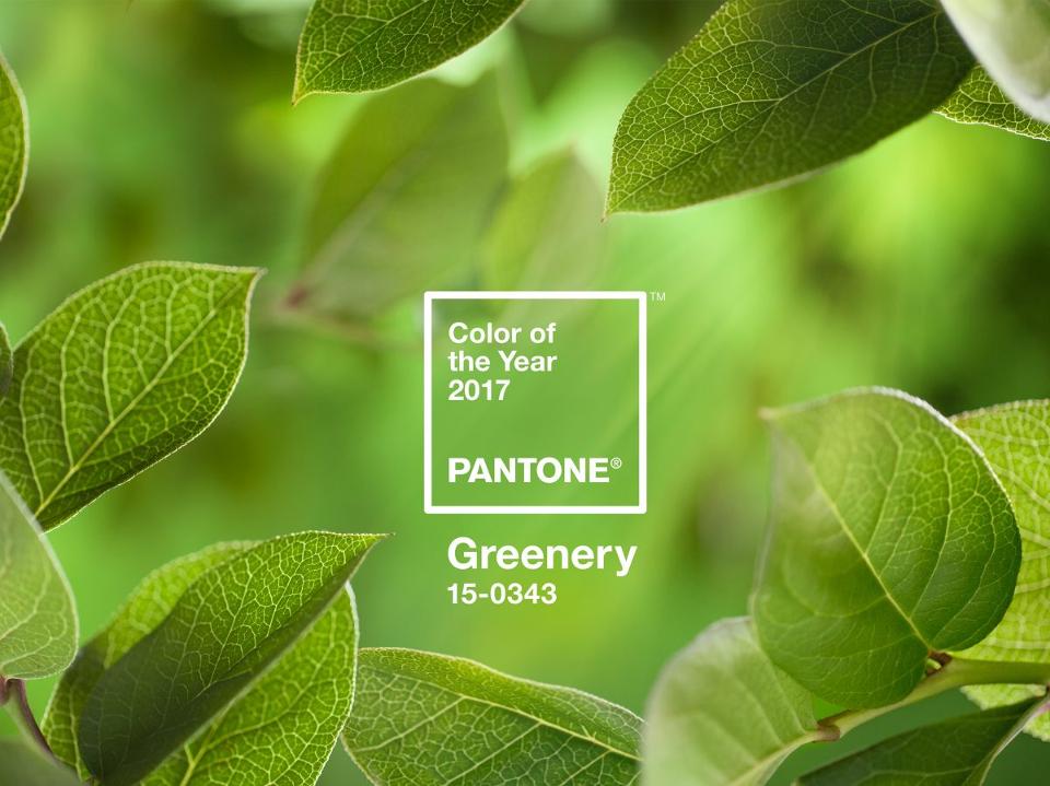 Source: Pantone