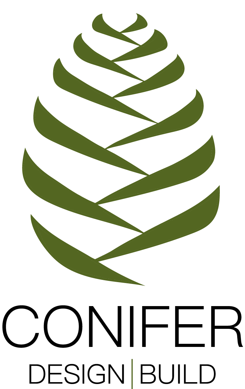 Conifer.png