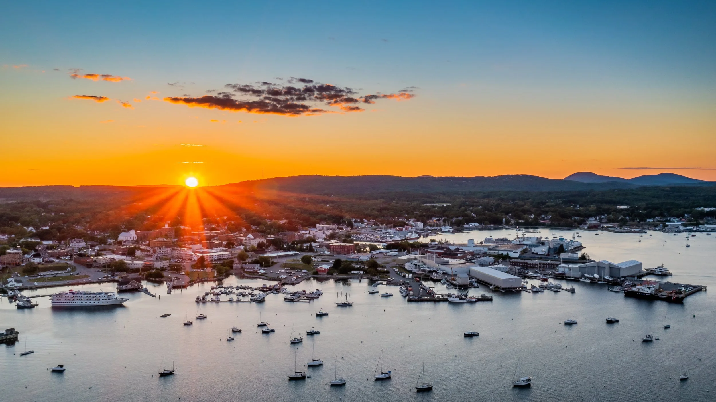 The Buzz - March 2026